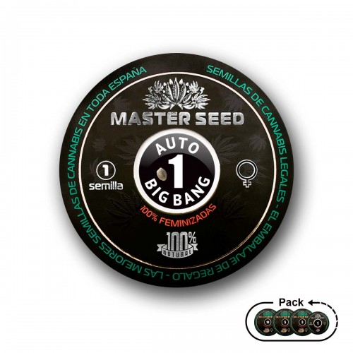 Семена каннабиса Big Bang auto fem MASTER SEED