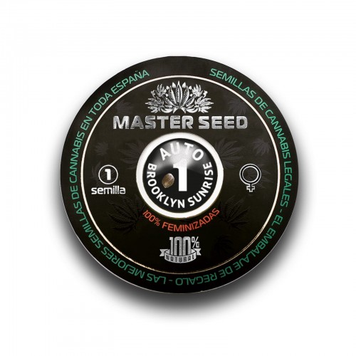 Семена каннабиса Brooklyn Sunrise auto fem MASTER SEED