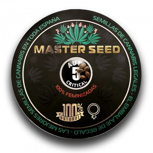 Насіння канабісу Critical auto fem MASTER SEED