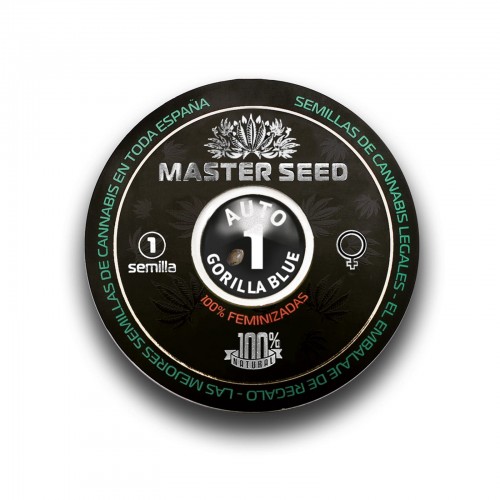 Семена каннабиса Gorilla Blue auto fem MASTER SEED