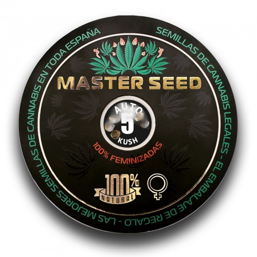 Насіння канабісу Kush auto fem MASTER SEED