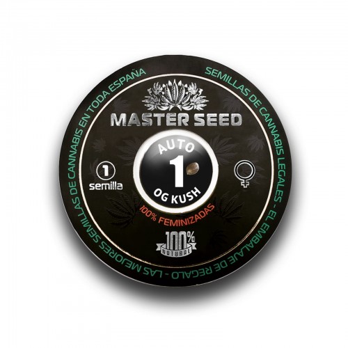 Семена каннабиса OG Kush auto fem MASTER SEED