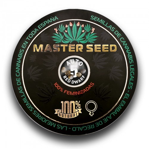 Семена каннабиса Red Dwarf auto fem MASTER SEED