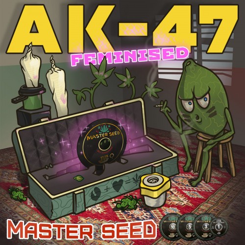 Семена каннабиса AK-47 fem MASTER SEED