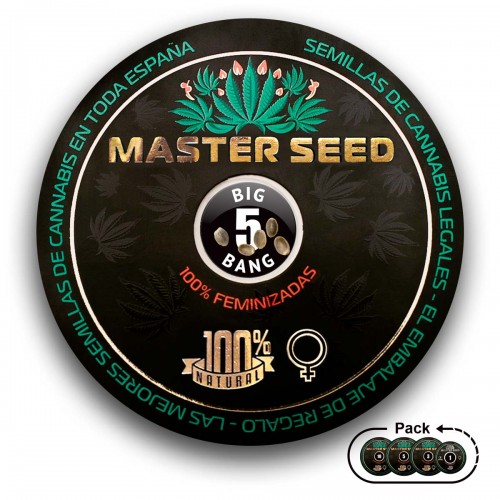 Семена каннабиса Big Bang fem MASTER SEED