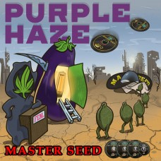 Purple Haze fem MASTER SEED