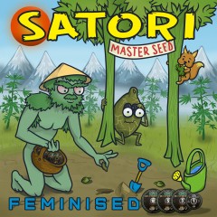 Satori fem MASTER SEED